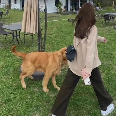 苍兰诀动画版