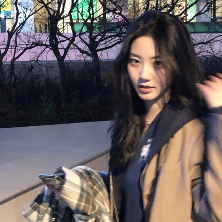 古树旋律 剧场版